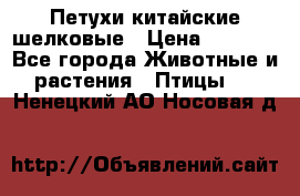 Петухи китайские шелковые › Цена ­ 1 000 - Все города Животные и растения » Птицы   . Ненецкий АО,Носовая д.